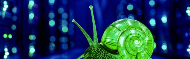 Dell earnings reveal sluggish enterprise AI adoption