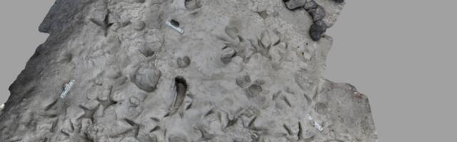 Remarkable Fossil Footprints Show Two Hominin Species Coexisting 1.5 Million Years Ago