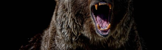 Bitcoin Plunges Below $84K after $115B Sell-Off Wipes Out Weekly Gains