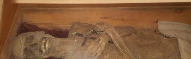 Never-Before-Seen Anal Embalming Method Kept This European Mummy Preserved for Nearly 300 Years