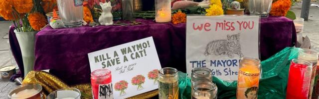 San Francisco's Mission District is mourning an iconic bodega cat after it was run over by a Waymo