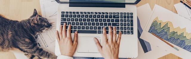 Удалёнка без одиночества: ощущение команды без физического присутствия