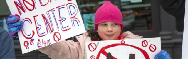 AI data centers must be stopped, green groups tell Congress