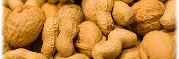 Promising Study Shows Potential of Skin Patch for Treating Peanut Allergies