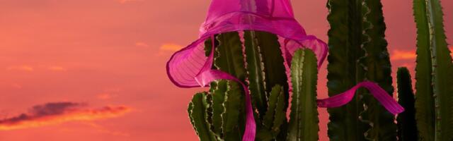 Klarna ‘on track’ to return to monthly profitability this year as quarterly losses half