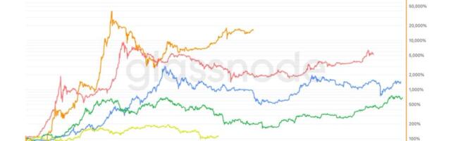 Bitcoin passes halfway point in halving cycle as price gains trail prior cycles