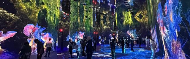 I visited the 'world's first' AI art museum. It was dazzling, strange, and more thought-provoking than I expected.