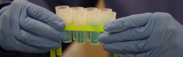 Ancestry says it fought two police requests to search its DNA database