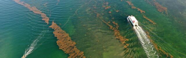 The world’s oceans are extremely hot. We’re about to find out what happens next.