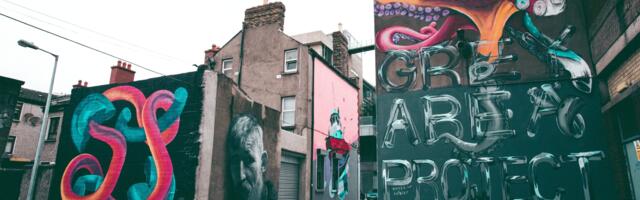 The Google Year in Search results reveal the moments that captured Ireland’s attention in 2023
