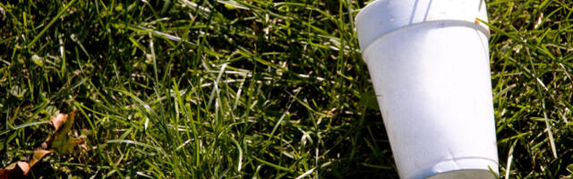 Your empty cuppa could capture carbon