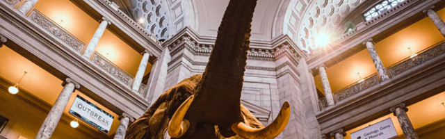 Night at the Museum brought to life by new mixed reality tech