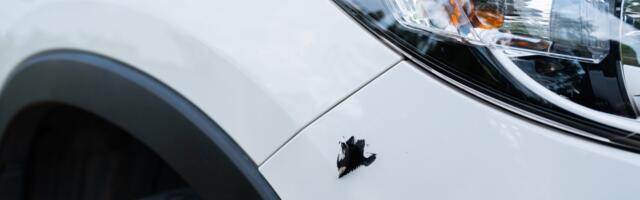 Bumper Cover Vs. Bumper: Are They The Same Thing?