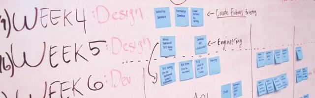 How To Successfully Launch a Startup with No Previous Experience