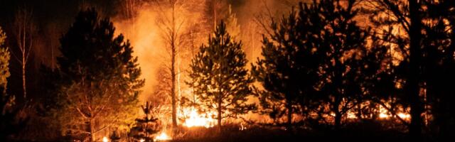 Startup Pano AI: Revolutionizing Wildfire Detection