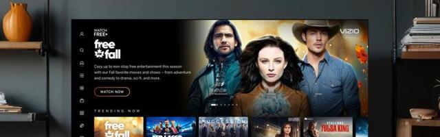 Walmart bought Vizio