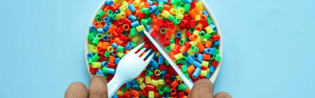 Keep Your Holiday Meals Clean: 7 Microplastic Hot Spots in Your Kitchen