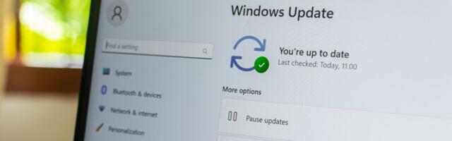 Windows 11's 24H2 block list contains more than just customization apps — hardware ID, software, and driver blocks could keep you from getting the Microsoft's AI-focused OS update
