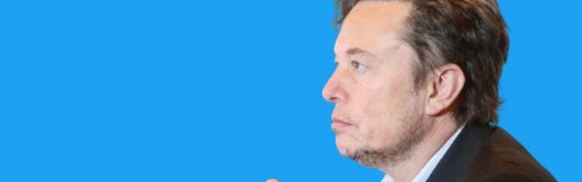 Uh oh, Elon: Half of European marketers plan to cut spending on X ads