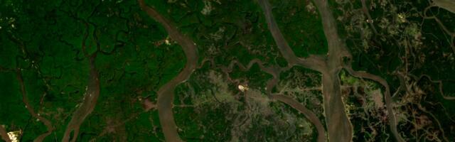 Earth observation radar data shows ecological damage from Niger Delta oil spills