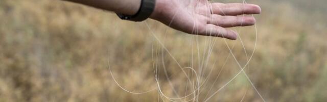 Ukrainian soldiers armed with scissors say they cut any fiber-optic drone cable they see — even if it might be their own