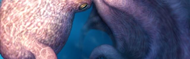 Meet the 19-meter Cretaceous kraken that swam with mosasaurs