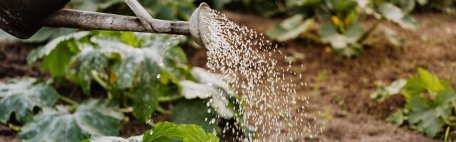 7 Trends in the Landscaping Industry to Know Before Starting Your Own Gardening, Decking or Landscape Company 7 Trends in the Landscaping Industry to Know Before Starting Your Own Gardening, Decking or Landscape Company