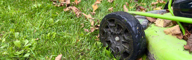 What Height Should A Mower Deck Be For Mulching Leaves?