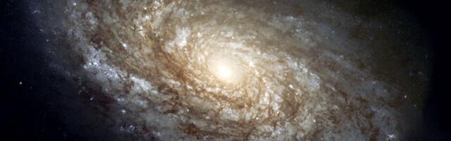 10 of the biggest — and smallest — scientific mysteries