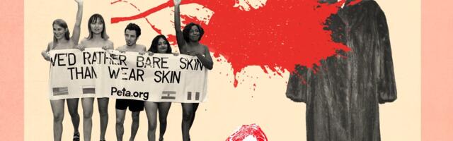 You’re wrong about PETA